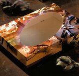 Cateringdozen dessin 300 55cm