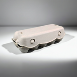 Eierdozen van karton voor 10 eieren